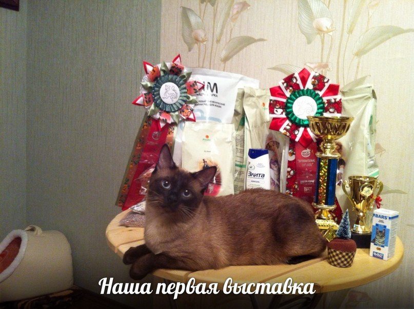 Отзывы о нашем питомнике